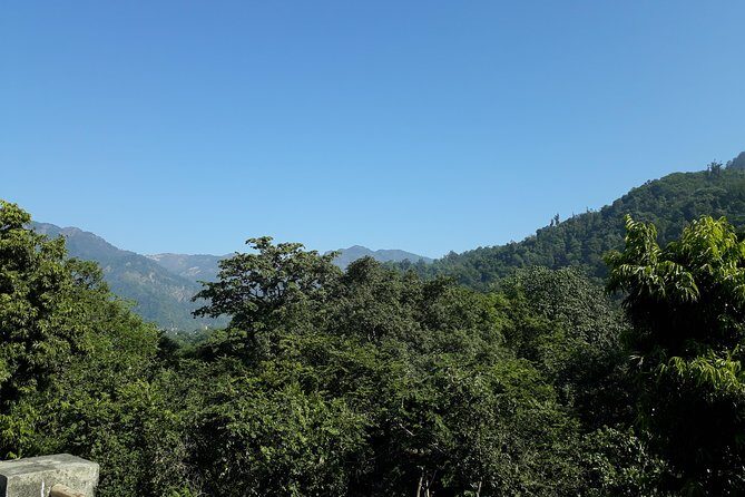 Beatles Ashram in Rishikesh  Guided Spiritual Walk & History - The Sum Up