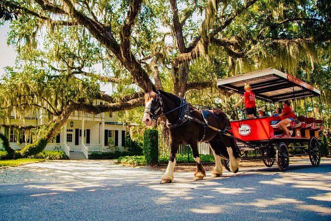 Beauforts #1 Horse & Carriage History Tour - Key Points