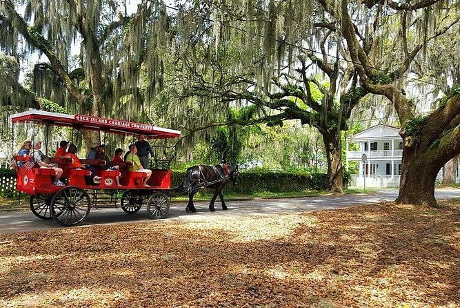 Beauforts #1 Horse & Carriage History Tour - The Experience from the Traveler’s Perspective