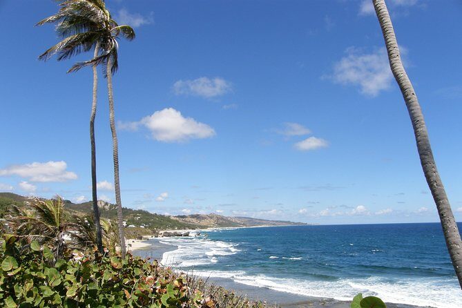 Beautiful Coastal Sightseeing Tour of Barbados - Final Thoughts