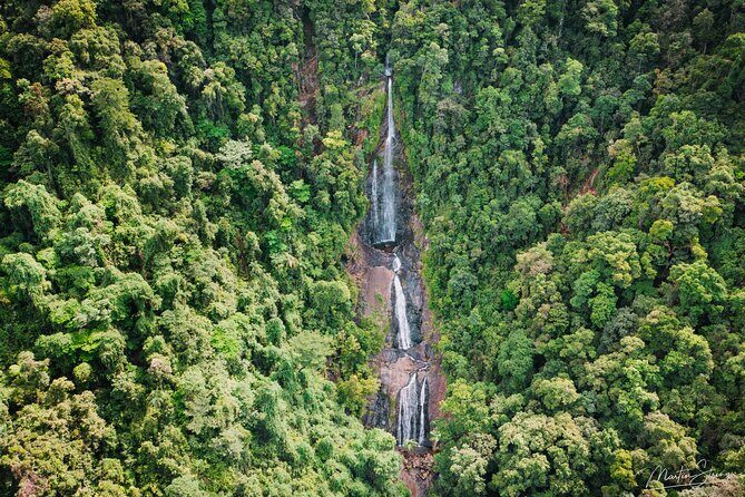 Beautiful Daintree Waterfall Walk, Magical Swim & Heavenly Lunch - Diving Into the Tour Itinerary