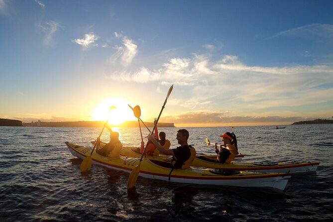 Beautiful Middle Harbour Sunriser / Guided Kayaking Private Tour - Key Points