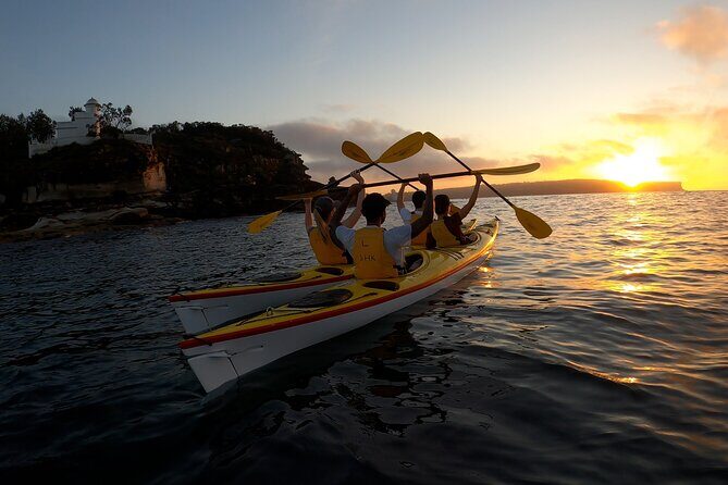 Beautiful Middle Harbour Sunriser / Guided Kayaking Private Tour - An In-Depth Look at the Experience