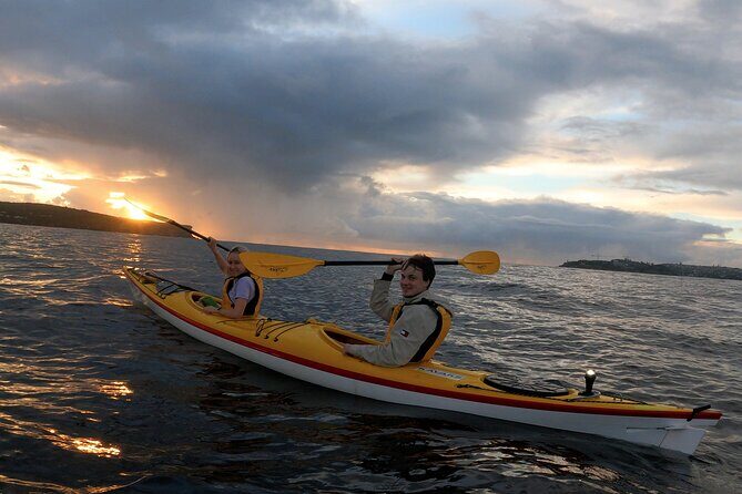 Beautiful Middle Harbour Sunriser / Guided Kayaking Private Tour - Who Will Love This Tour?