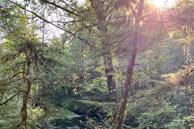 Beautiful Nature Walk On Ketchikan's Ward Creek Trail - An In-Depth Look at the Ward Creek Trail Nature Hike