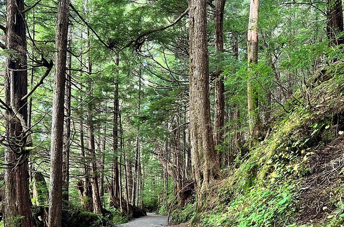 Beautiful Nature Walk On Ketchikan's Ward Creek Trail - Snacks and Rain Gear—Thoughtful Extras