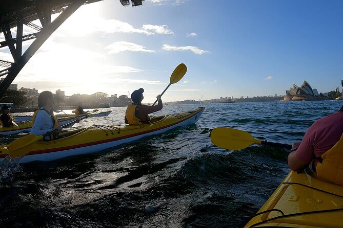 Beautiful Sydney Harbour Breakfast Kayaking Tour - Final Thoughts: Is This Tour Right for You?