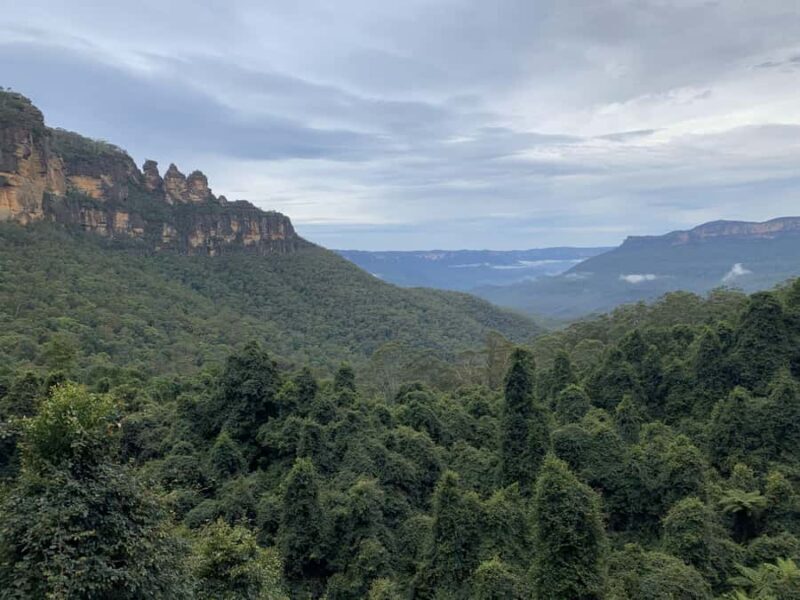 Beauty of the Blue Mountains Private Tour - A Closer Look at What Makes This Tour Special