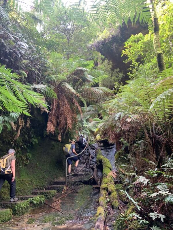 Beauty of the Blue Mountains Private Tour - FAQ