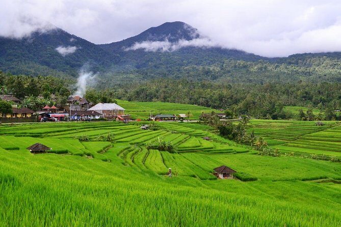 Beauty Of West Bali Tour (Private and All Inclusive) - What’s Included and What’s Not
