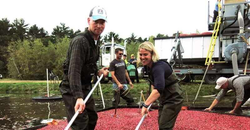 Become A Cranberry Bogger for a Day Experience - Authenticity and Practicality