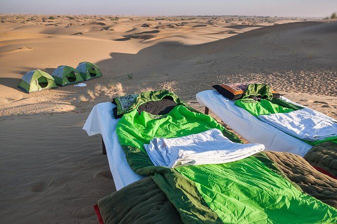 Become a Desert Nomad Overnight Camel Safari in the Wild - Analyzing the Experience’s Value