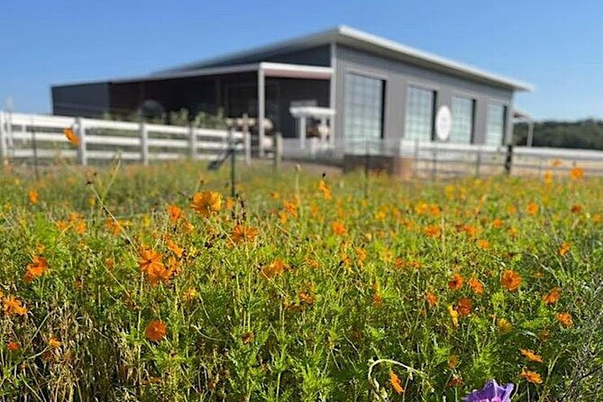 Become a Ranch Hand for a Day in Fredericksburg - What to Expect from the Experience
