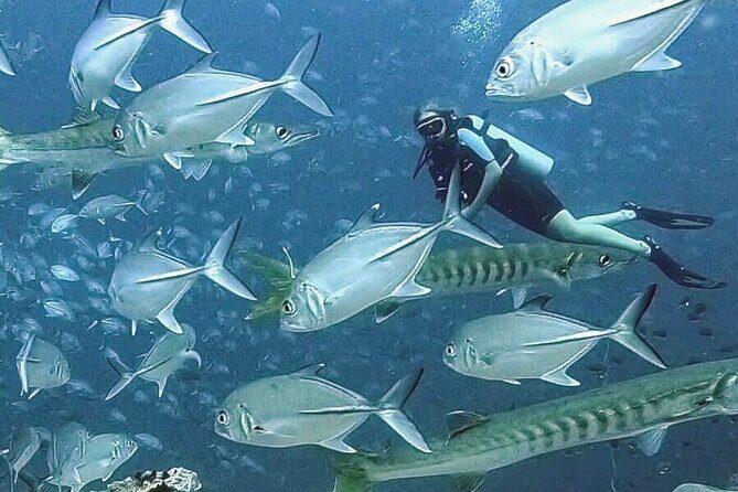 Become certified diver in 3 days - PADI Open Water Diver course on Koh Tao - Final Words