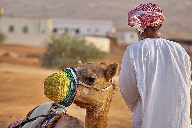 Bediyah: Camel Safari through the Wahiba Sands Desert - An In-Depth Look at the Camel Safari Experience