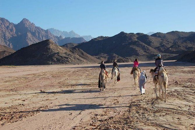 Bedouin BBQ in the Egyptian Desert by 4x4 - What Travelers Are Saying