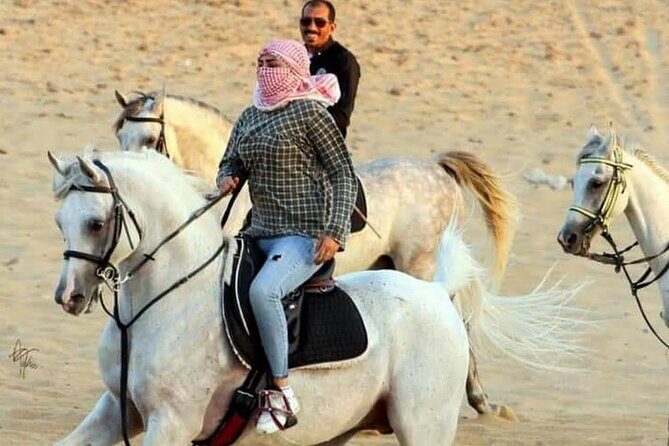 Bedouin Dinner, Egyptian Show and Horse Ride tour 1 Hour - Sharm El Sheikh - Introduction