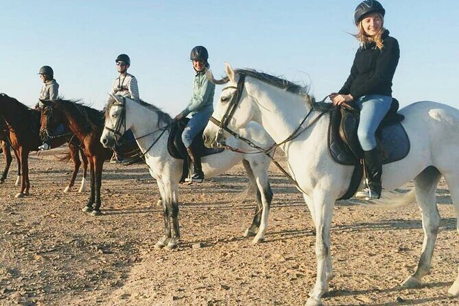 Bedouin Dinner, Egyptian Show and Horse Ride tour 1 Hour - Sharm El Sheikh - The Itinerary: What to Expect on the Tour