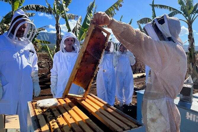 Bee Farm Ecotour and Honey Tasting in Waialua, North Shore Oahu - Why This Tour Is Worth Considering