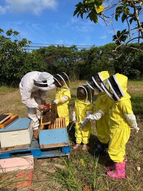 Bee Farm Tour & Honey Tasting - Introduction