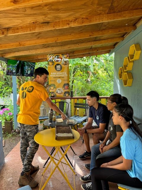 Bee Farm Tour & Honey Tasting - The Sum Up