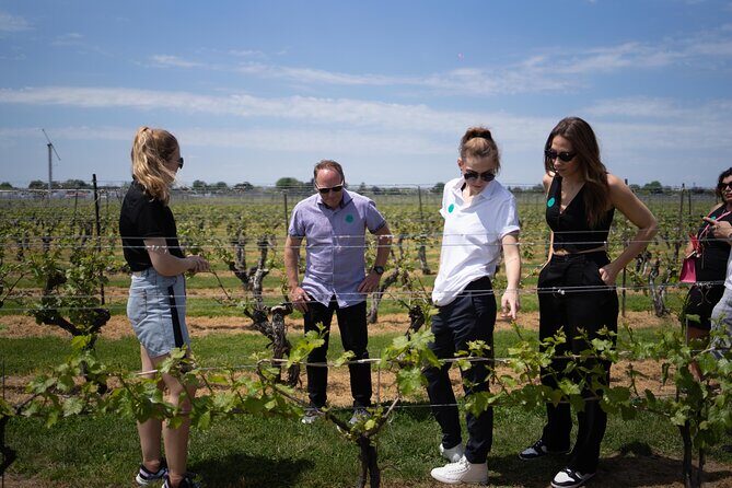 Beer and Wine Tour in Niagara-on-the-Lake - FAQs