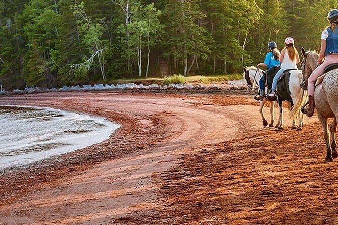 Beginner Brudenell Beach Trail Ride - An Overview of the Beginner Brudenell Beach Trail Ride