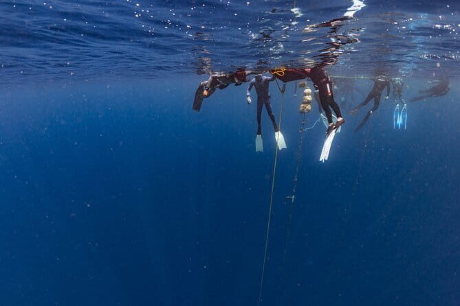 Beginner Freediving Course (with Bonus Session) - Practical Details: Price, Location, and Logistics