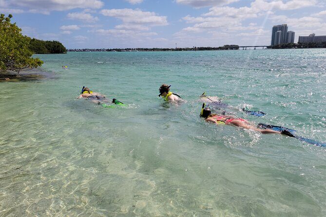 Beginner Friendly Island Snorkeling - The Experience and Itinerary in Detail