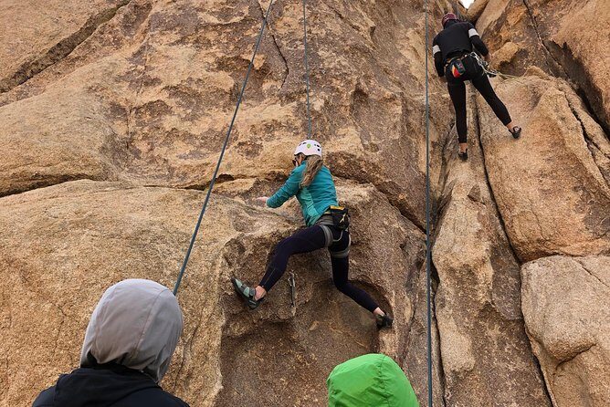 Beginner Group Rock Climbing in Joshua Tree National Park - The Experience Through the Eyes of Reviewers