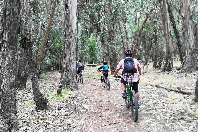 Beginner or Intermediate Mountain Bike Tour of Santa Barbara - The Sum Up