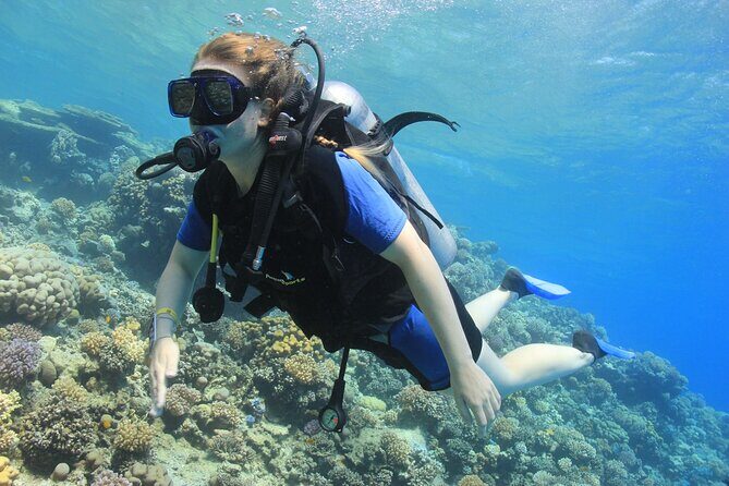 Beginner Scuba Dive 2 diving Stops & Lunch Boat Trip - El Quseir - Key Points