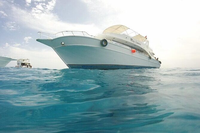 Beginner Scuba Dive 2 diving Stops & Lunch Boat Trip - El Quseir - Why This Tour Works Well