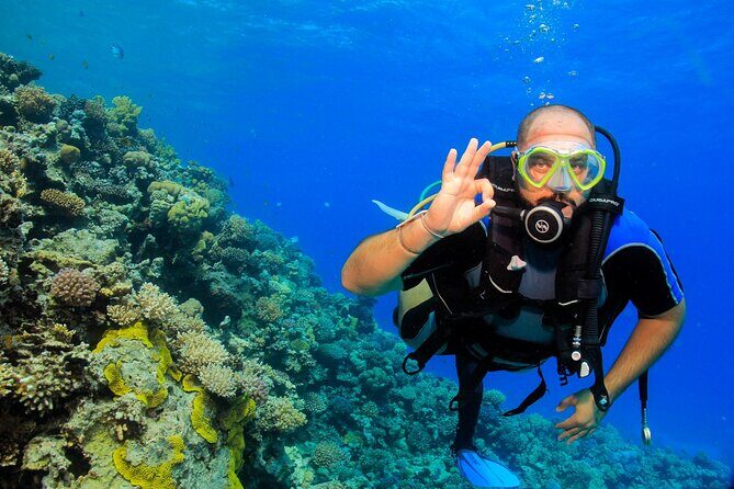 Beginner Scuba Dive 2 diving Stops & Lunch Boat Trip - El Quseir - FAQ