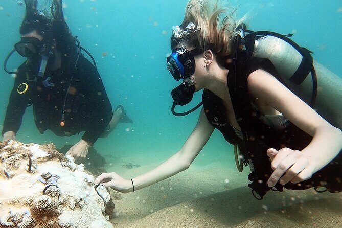 Beginner Scuba Diving Experience With Videos in West Palm Beach - Overview of the Experience