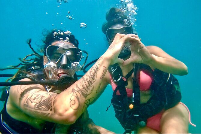 Beginner Scuba Diving Experience With Videos in West Palm Beach - The Real Experience From Travelers