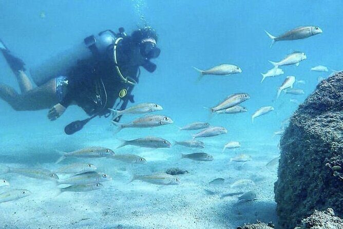 Beginner Scuba Diving Experience With Videos in West Palm Beach - FAQ