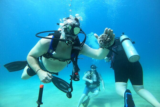 Beginner Scuba Diving Guided Tour - No Experience Required - An Honest Look at the Rincón Beginner Scuba Tour