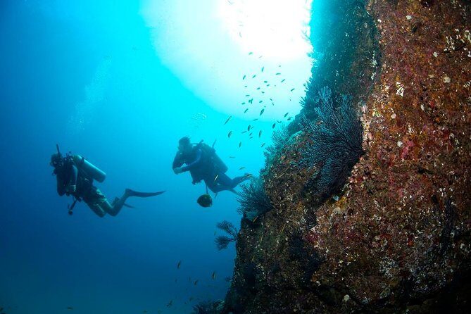 Beginner Scuba Diving in Cabo San Lucas - About the Tour: A Well-Organized Introduction to Underwater Exploration