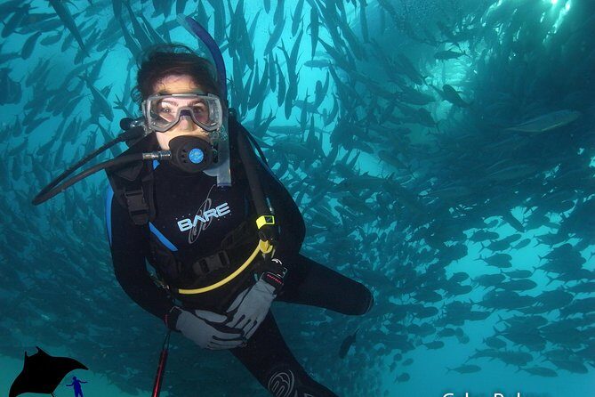 Beginner Scuba Diving in Cabo San Lucas - The Sum Up: Who Should Consider This Tour?