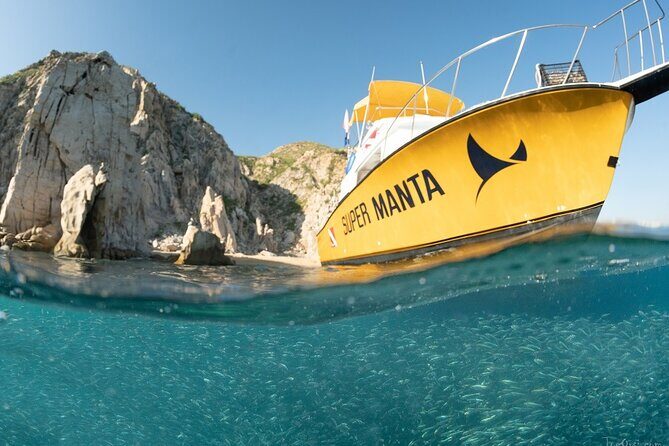 Beginner Scuba Diving in Cabo San Lucas - FAQ