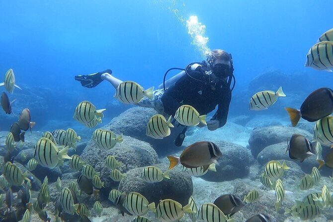 Beginner Scuba Experience with Video Package in Honolulu - What to Expect on the Tour