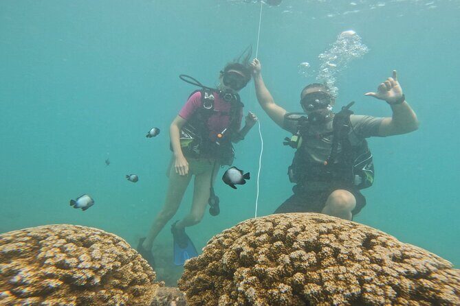Beginner Scuba Experience with Video Package in Honolulu - Final thoughts