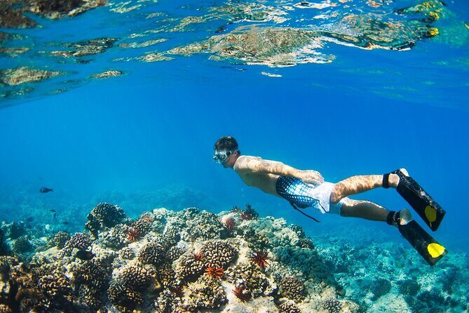 Beginners Scuba Diving Boat Trip With Equipment & lunch -Hurghada - FAQ