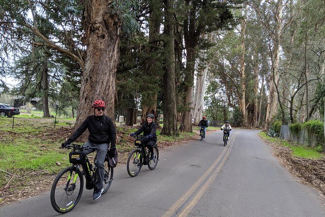 Behind-the-Scenes Food and Wine E-Bike Tour - What to Expect on the Itinerary