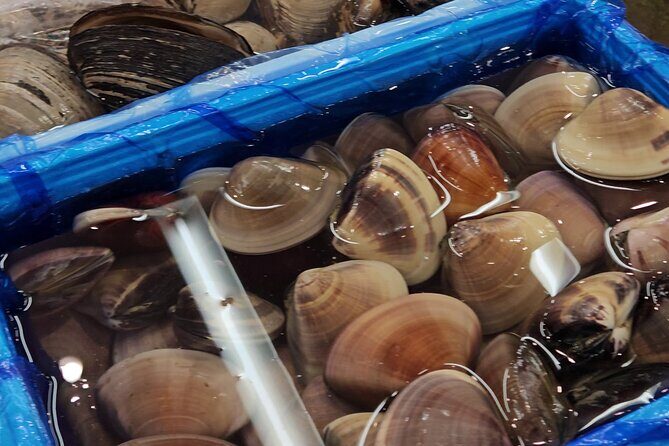 Behind the Scenes Toyosu Fish Market and Luxury Sushi Dining Tour - FAQs