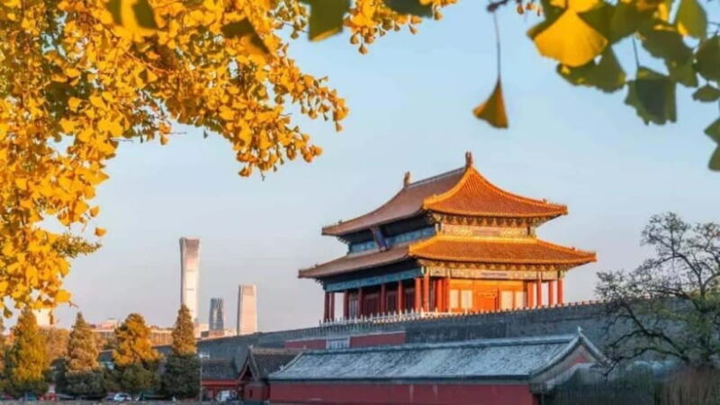 Beijing: Forbidden City and Tiananmen Square Tour (Optional) - Who This Tour Is Best For