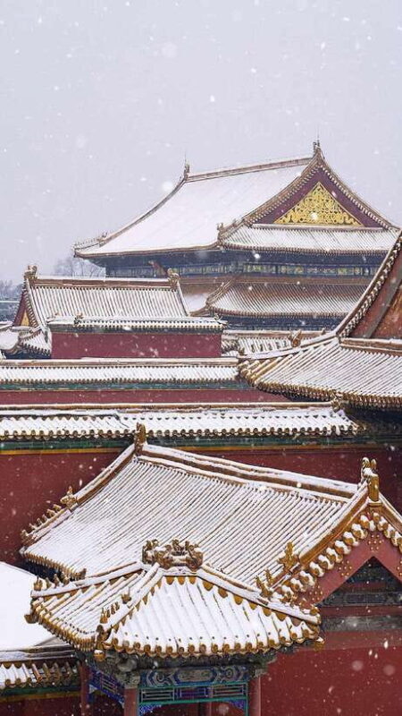 Beijing : Forbidden City Entry Ticket - FAQ: Your Practical Questions Answered