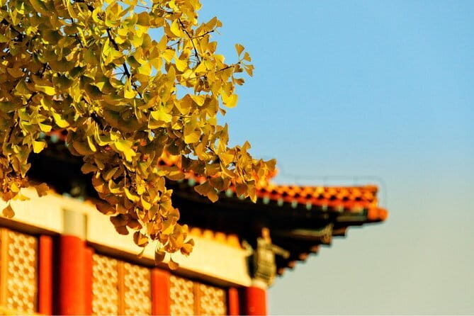 Beijing Forbidden City Slack Season and Peak Season Admission Ticket - The Experience: What You Can Expect