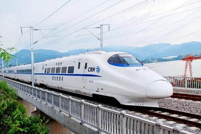 Beijing Great Wall Private Day Tour from Shanghai by Bullet Train - The Sum Up